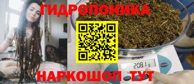 гашиш Можга